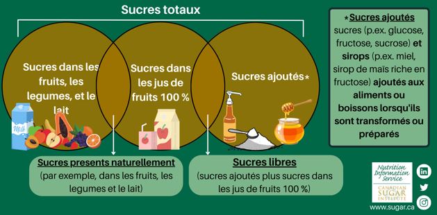 Terminologie des sucres et des glucides - The Canadian Sugar Institute