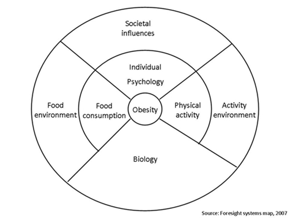 Factors related to obesity 