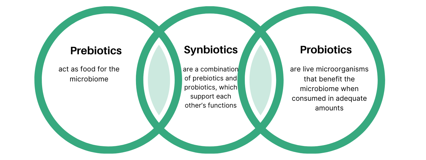 Definitions of prebiotics, probiotics, and synbiotics