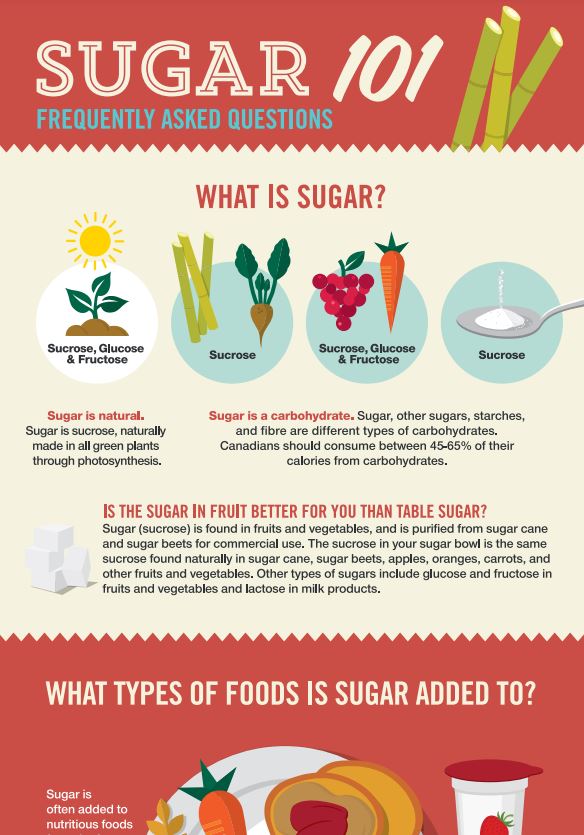 Sugar 101: Frequently Asked Questions 