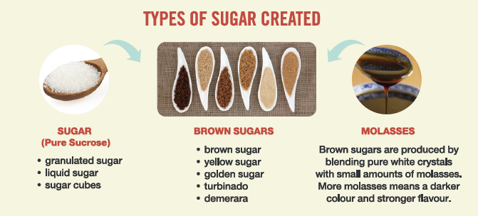 Types Of Sugar Created 